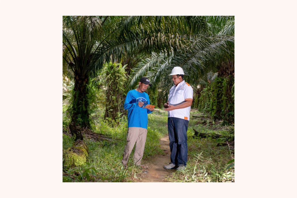 Pundu Nabatindo Mill Best Safety Zero Accident